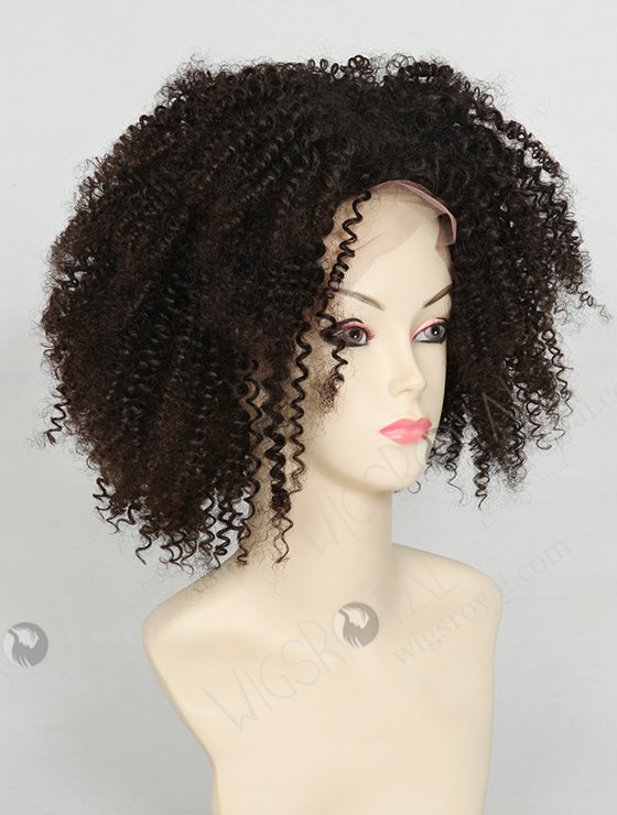 Short Curly Wigs For Black Women WR-LW-004-879