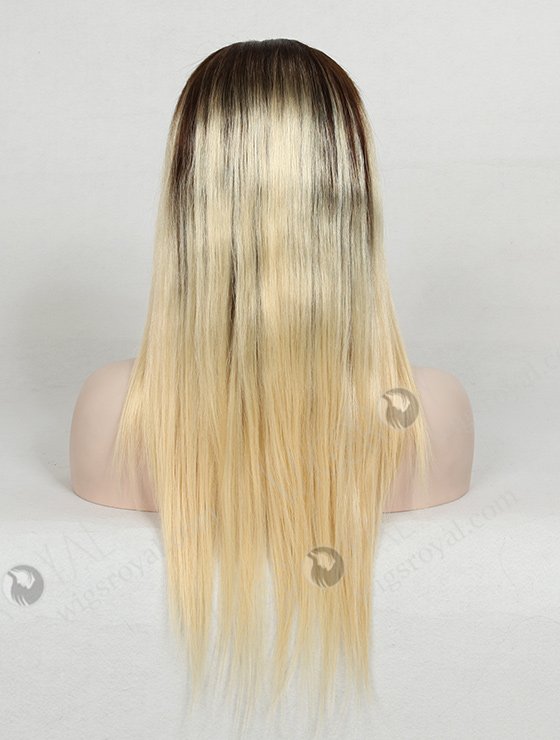 Middle Parting Ombre Full Lace Wigs WR-LW-006-900