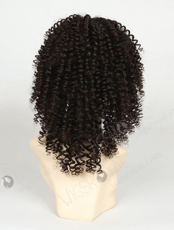Curly Human Hair Wigs for Black Women WR-LW-001-836