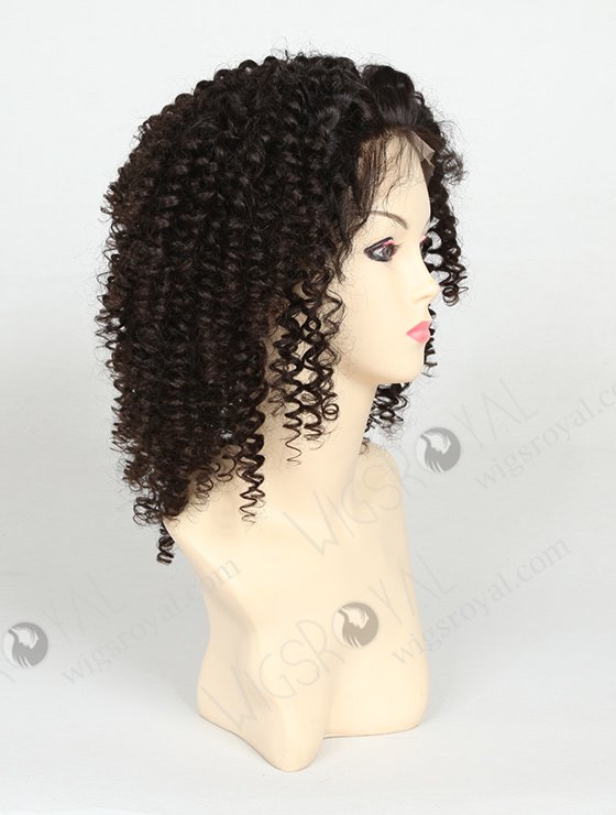 Curly Human Hair Wigs for Black Women WR-LW-001-832