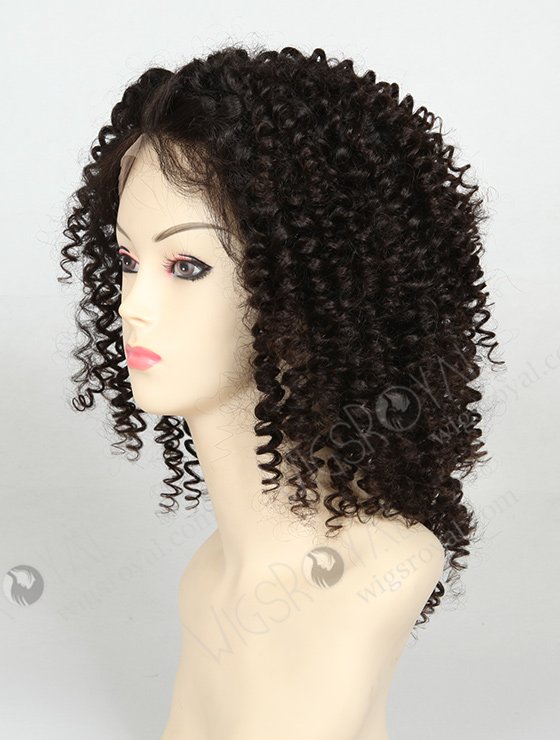 Curly Human Hair Wigs for Black Women WR-LW-001-830
