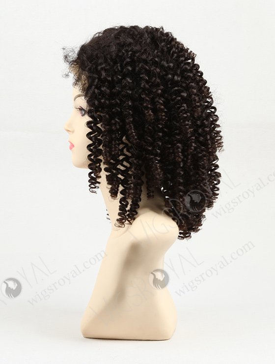 Curly Human Hair Wigs for Black Women WR-LW-003-873