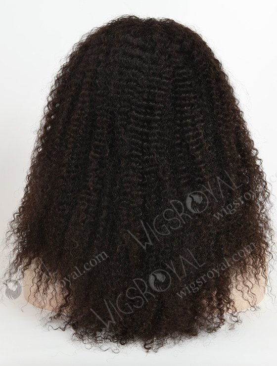 Brazilian Hair Kinky Curly Wig For Black Women WR-LW-026-1294