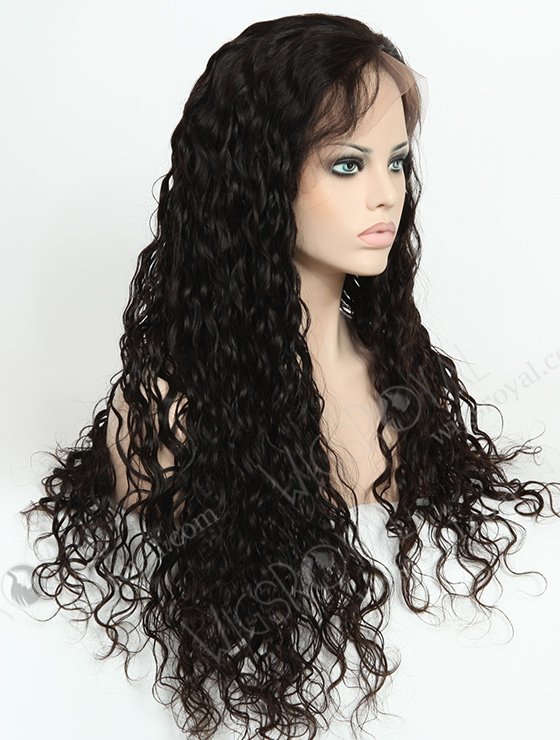 Natural Curly 26inch Full Lace Wig WR-LW-018-1187