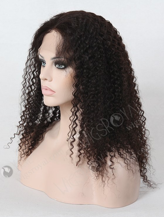 Best Quality Natural Kinky Curl Hair Wig WR-LW-017-1177