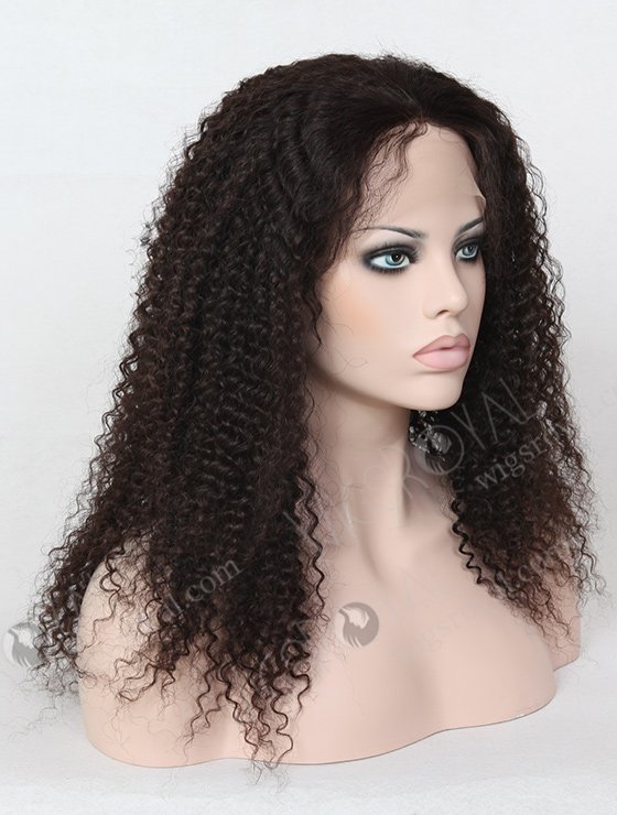 Best Quality Natural Kinky Curl Hair Wig WR-LW-017-1179