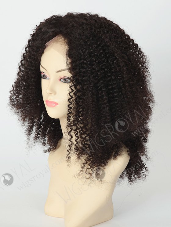Brazilian Afro Kinky Curl Full Lace Wigs WR-LW-033-1544