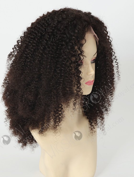 Brazilian Afro Kinky Curl Full Lace Wigs WR-LW-033-1547