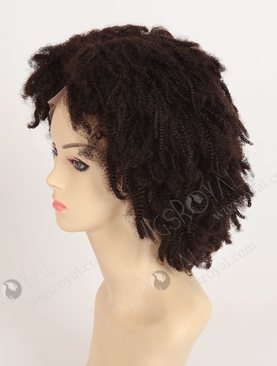 100 Human Hair African American Afro Wigs WR-LW-058-1938