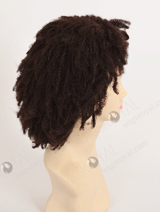 100 Human Hair African American Afro Wigs WR-LW-058-1939