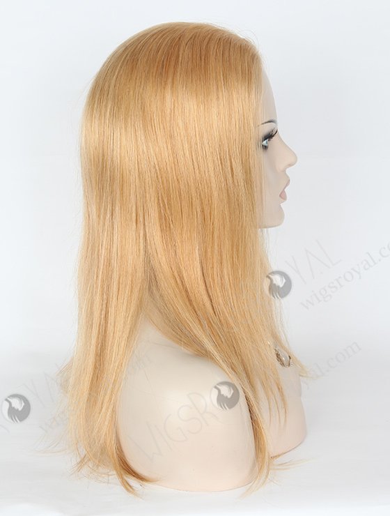 In Stock Brazilian Virgin Hair 14" Straight 18/22# Evenly Blended Color Silk Top Glueless Wig GL-04062-1671