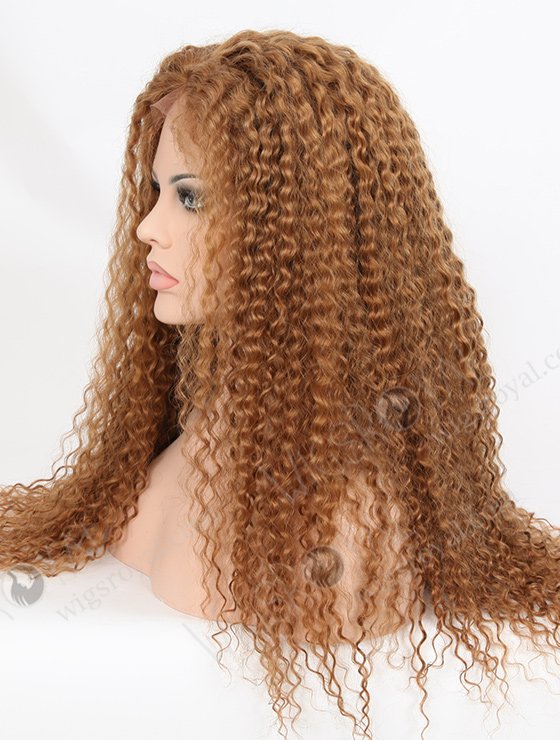 24 Inch Brazilian Brown Tight Curl Hair Wigs WR-LW-061-2018