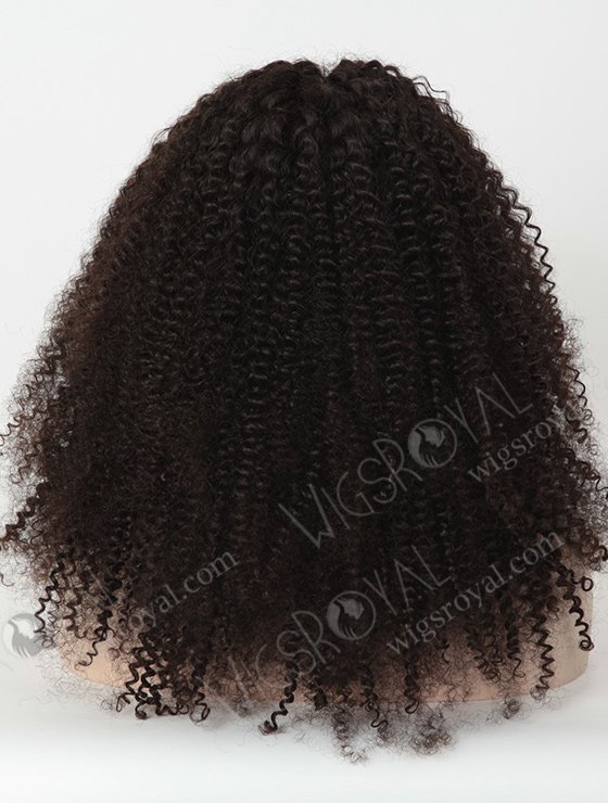 Jerry Curl Natural Hair Wigs for Black Women WR-LW-059-1946
