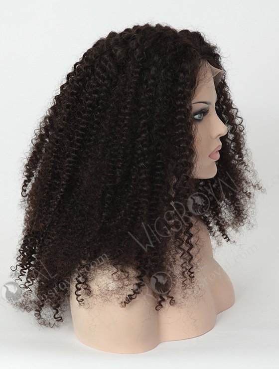 Jerry Curl Natural Hair Wigs for Black Women WR-LW-059-1948