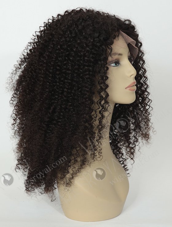 Brazilian Hair Tight Curly Wigs WR-LW-051-1866