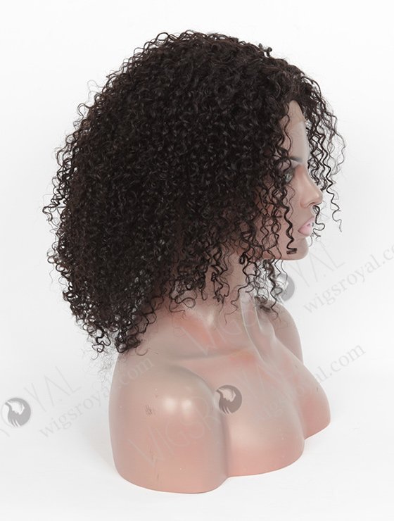 High Quality Raw Indian Hair Full Lace Wig WR-LW-090-3586
