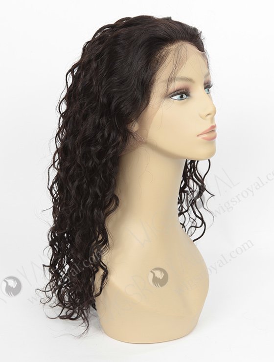 Brazilian Virgin Hair Natural Curly Full Lace Wigs WR-LW-087-3559