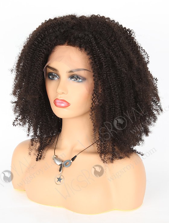 Beautiful Kinky Afro Curl Natural Color 20'' Brazilian Virgin Hair Wigs WR-LW-088-3565