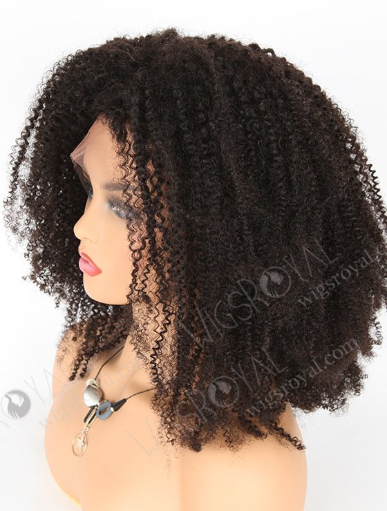 Beautiful Kinky Afro Curl Natural Color 20'' Brazilian Virgin Hair Wigs WR-LW-088-3567