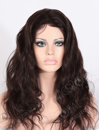 Full Cuticle Malaysian Virgin Hair Glueless Wig WR-GL-004