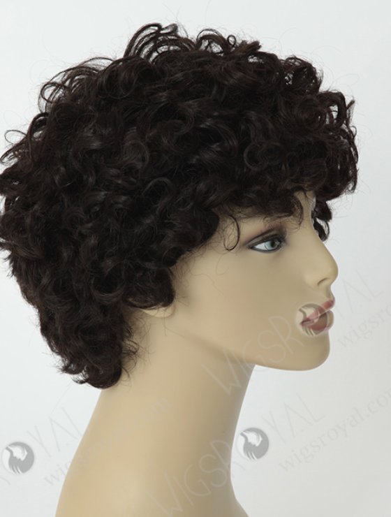 Short Curly Wig For Black Women WR-GL-013-4342