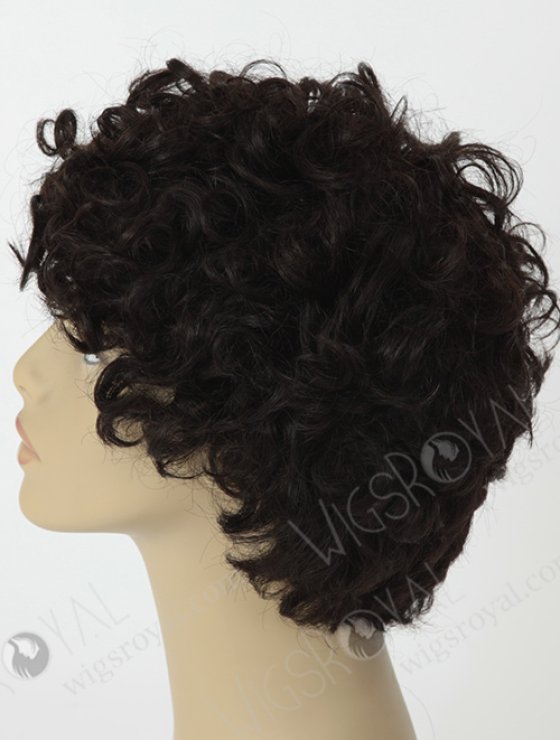 Short Curly Wig For Black Women WR-GL-013-4344