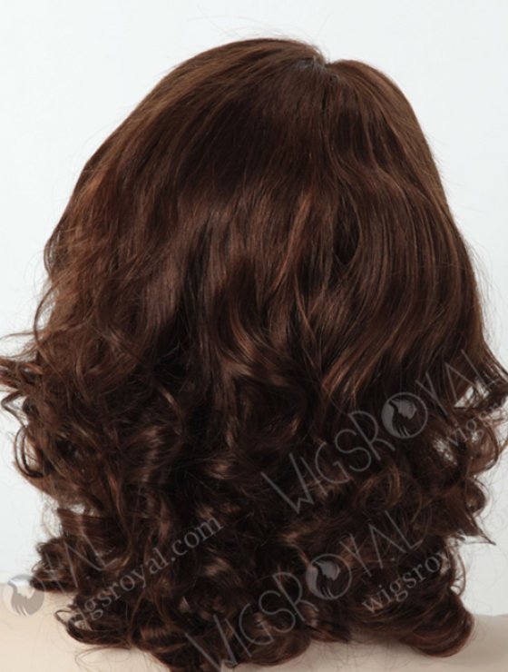 Brazilian Hair Curly Lace Front Wig WR-CLF-005-6666