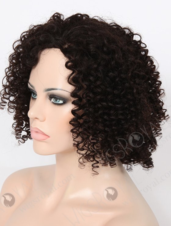 Short Curly Glueless Wigs WR-GL-035-7877