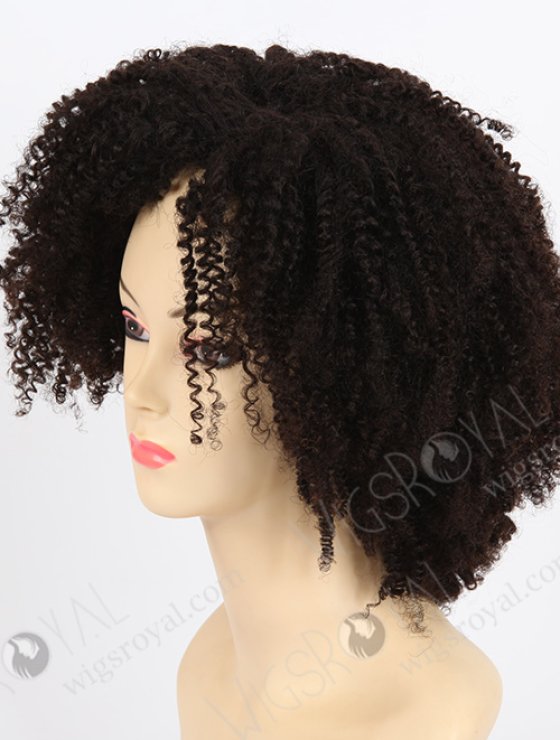 Afro Curl African American Wigs WR-GL-029-7806