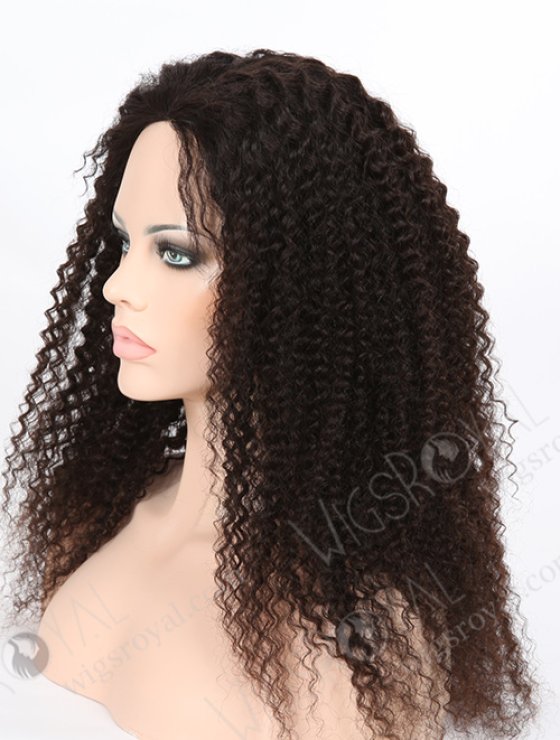 Kinky Curly Wig for Black Women WR-GL-030-7816