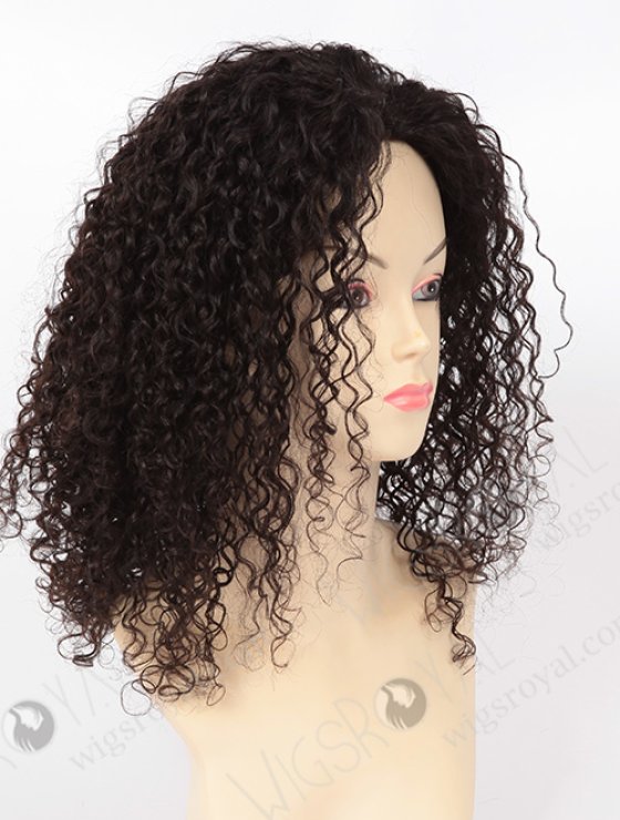 High Quality 100% Chinese Virgin hair Glueless Wig WR-GL-039-8166