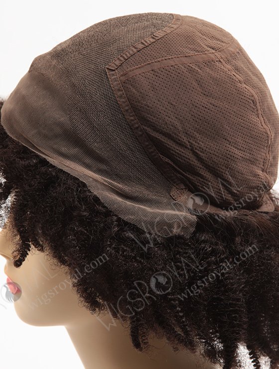 100 Human Hair African American Afro Wigs WR-LW-058-8295