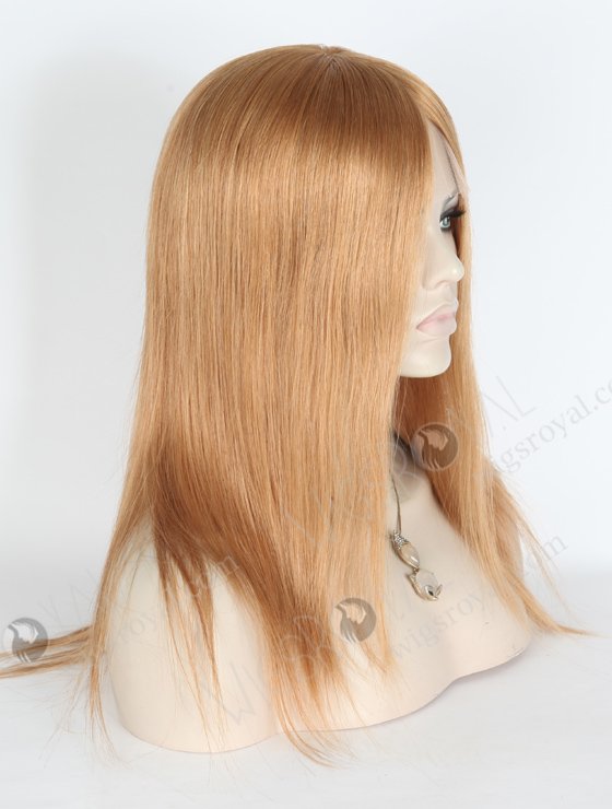 In Stock European Virgin Hair 14" Straight 10#/18# Evenly Blended Lace Front Silk Top Glueless Wig GLL-08020-13930