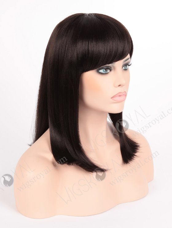 In Stock Normal Synthetic Wig Middle Straight BEBE-2#-14737