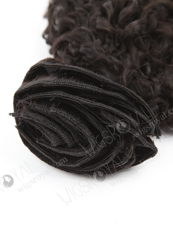 High Quality Brazilian Virgin Hair Clip in Weft Hair Extensions WR-CW-010-17282
