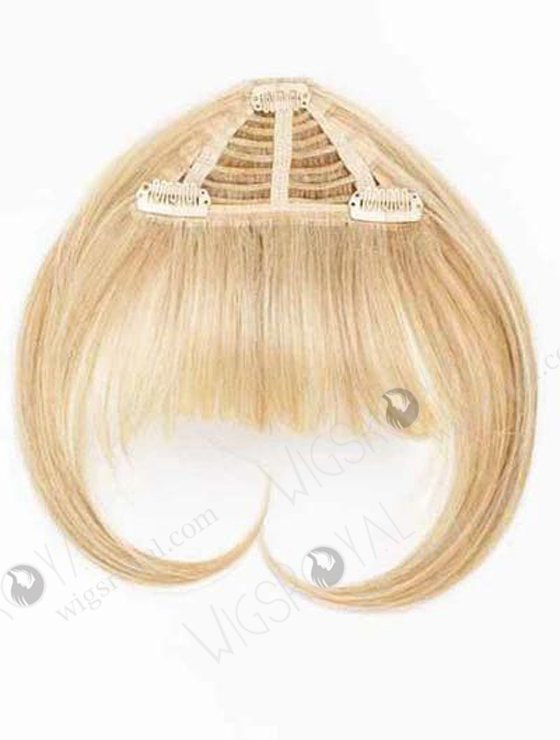 Hot Selling Top Quality Wholesale Price Real Human Hair Fringe Bangs WR-FR-003-17460