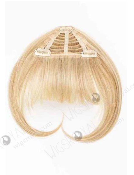 Hot Selling Top Quality Wholesale Price Real Human Hair Bangs WR-FR-003