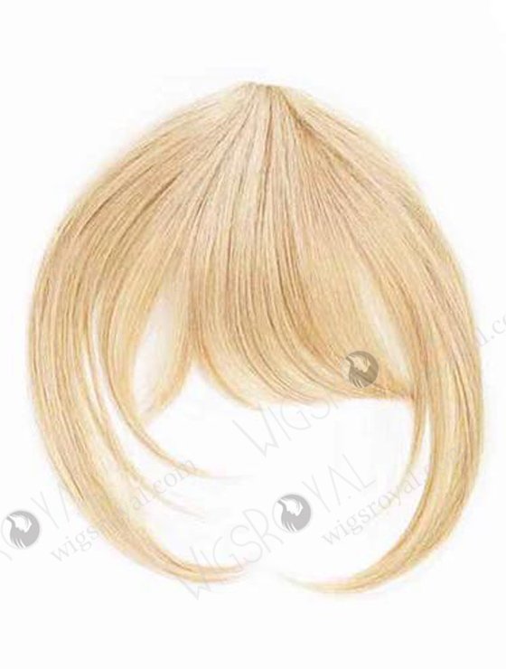 Hot Selling Top Quality Wholesale Price Real Human Hair Fringe Bangs WR-FR-003-17464
