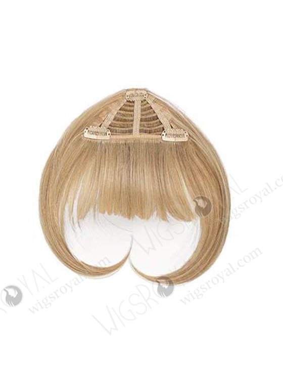 Hot Selling Top Quality Wholesale Price Real Human Hair Fringe Bangs WR-FR-003-17463