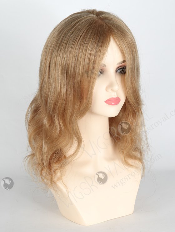 Mixed Color 12'' European Virgin Body Wave Silk Top Glueless Wigs WR-GL-063-18729