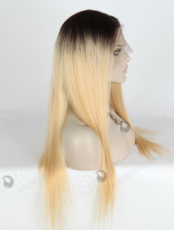 Fashion Highlight Color 22 inch Peruvian Hair Lace Front Wig WR-CLF-016-18750