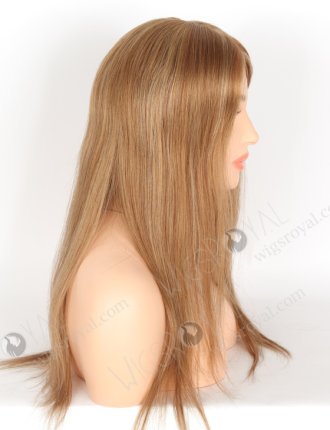In Stock European Virgin Hair 18" Straight 8a# With 22# Highlights Color Monofilament Top Glueless Wig GLM-08008