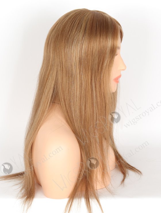 In Stock European Virgin Hair 18" Straight 8a# With 22# Highlights Color Monofilament Top Glueless Wig GLM-08008-22458